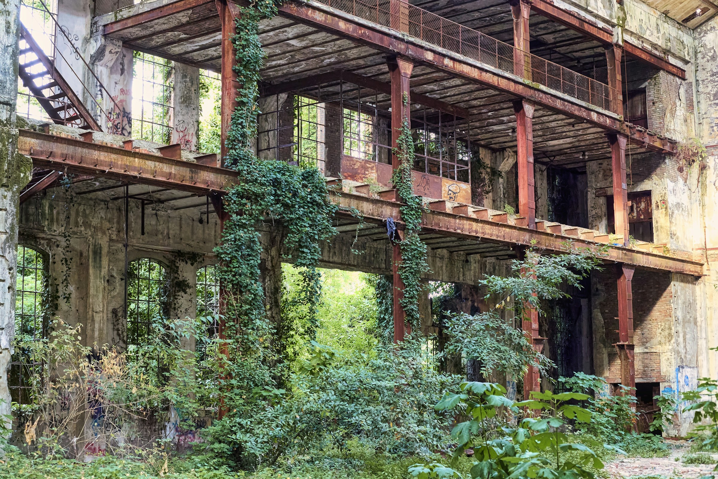 An abandoned industrial building transformed by years of plant growth and weathering